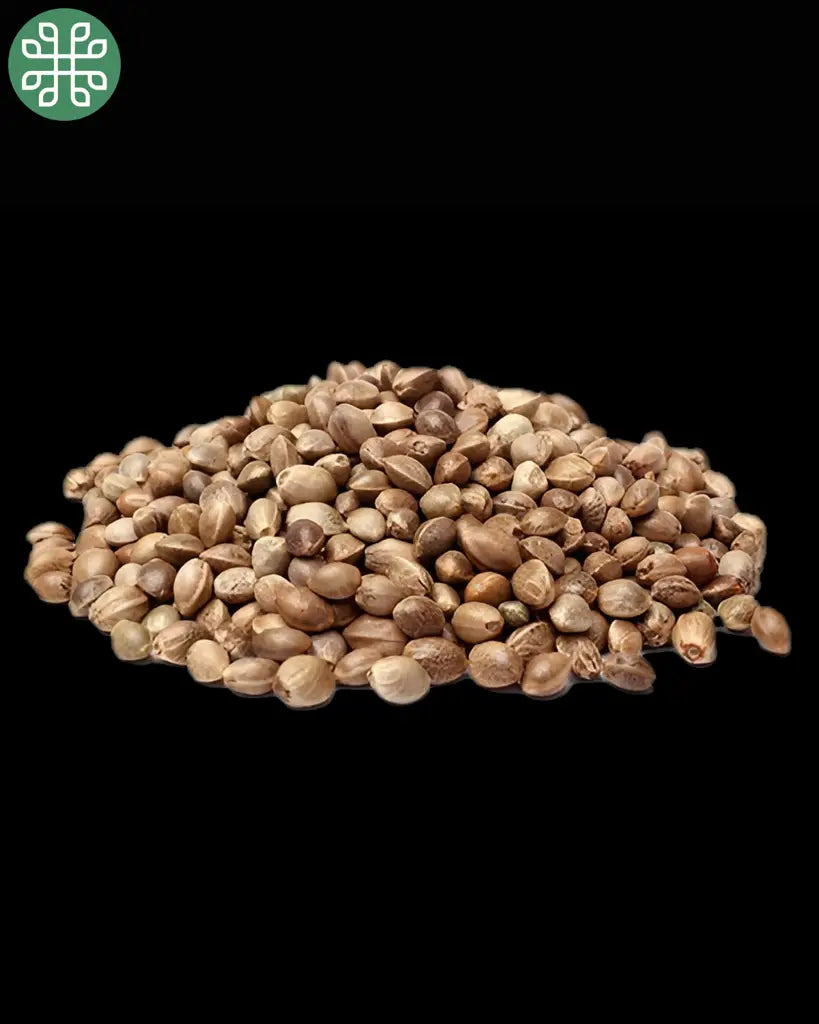 Gelato Sunrise Feminized Seeds